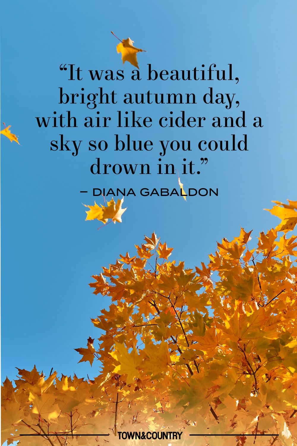 Love under the blue autumn sky